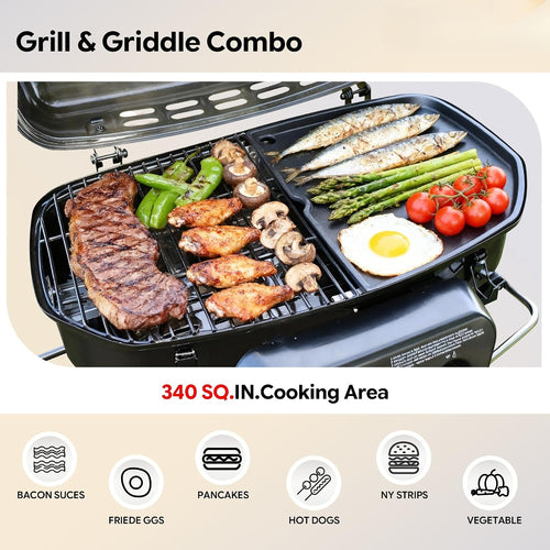 2-Burner Portable Propane Grill