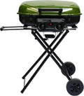 2-Burner Portable Propane Grill