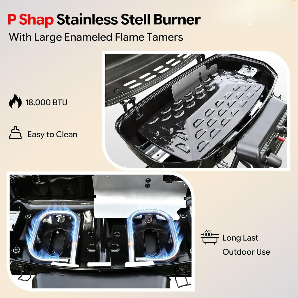 2-Burner Portable Propane Grill