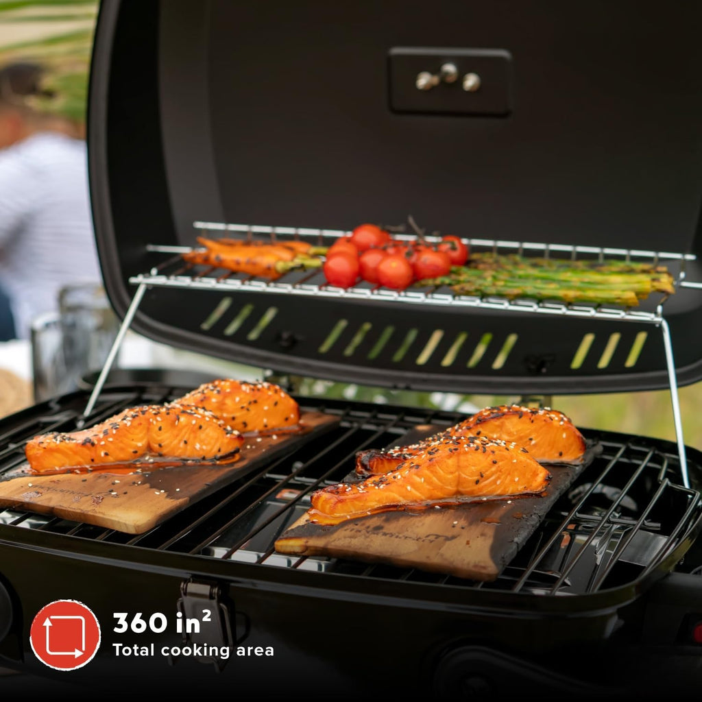 1 Burner Foldable Tabletop Gas Grill