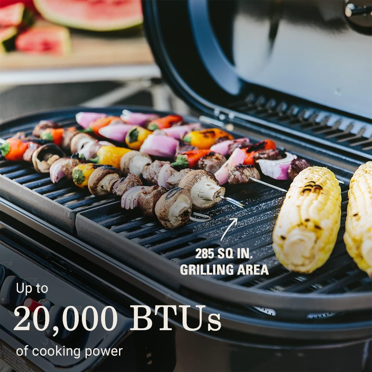 Portable Propane Stand Grill