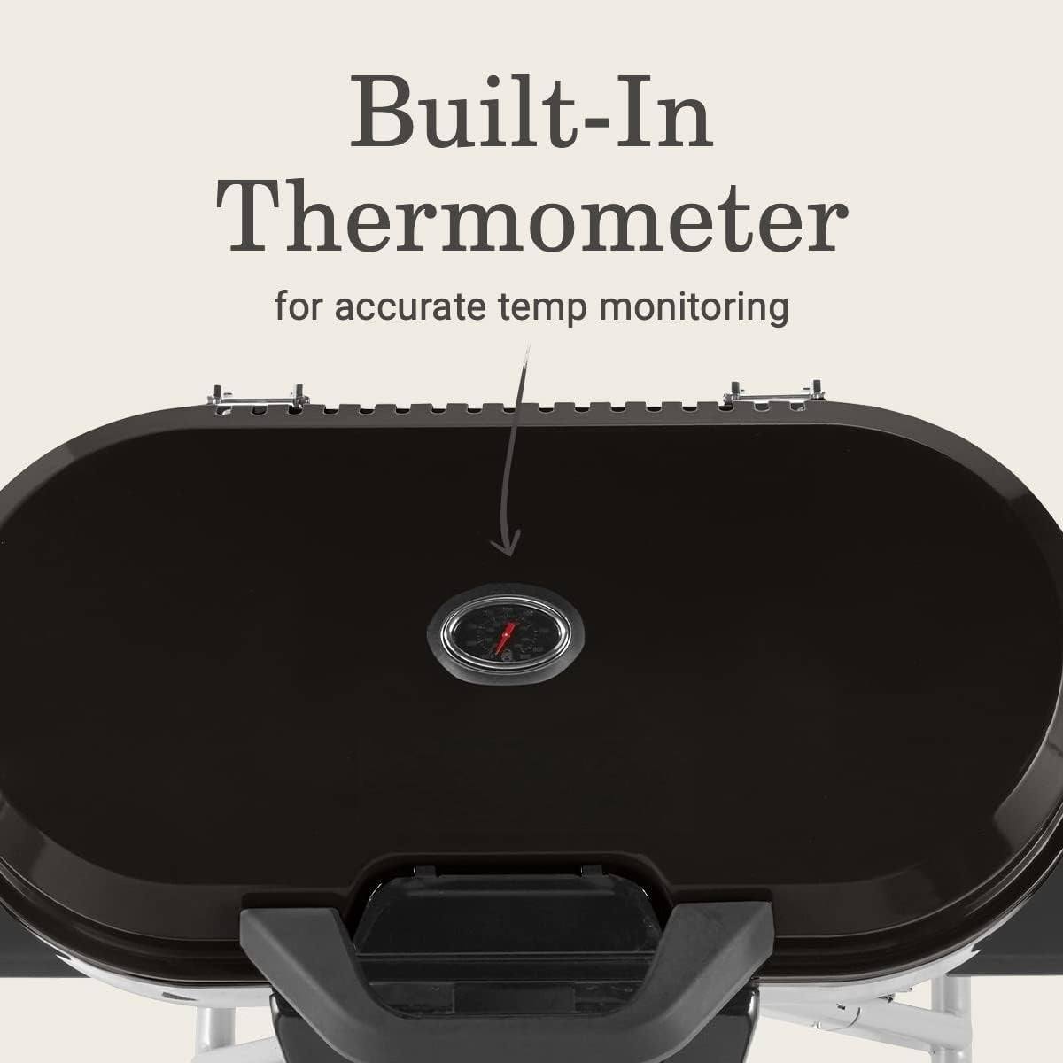Portable Propane Stand Grill