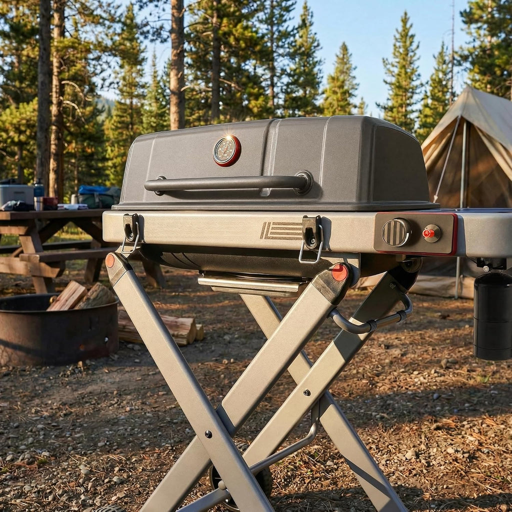 Portable Propane Gas Grill